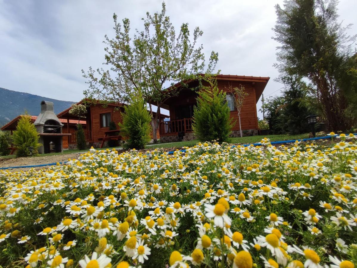 Hurmalik Apart Evleri-Very Close To The Sea Large Garden Bungalow With Barbecue And Swing Karaoz Zewnętrze zdjęcie